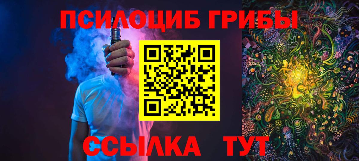 Полысаево  Галлюциногенные грибы Psilocybine cubensis  Вход с VPN 