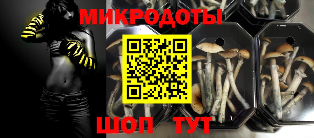 Псилоцибиновые грибы MAGIC MUSHROOMS Полысаево